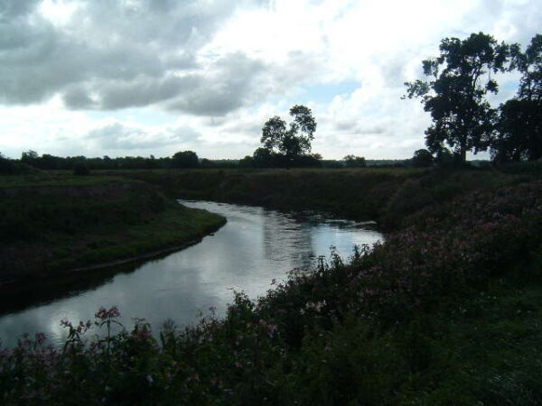 Eel Cottage